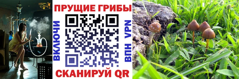 Галлюциногенные грибы мицелий  даркнет сайт  это Telegram  Новое Девяткино 